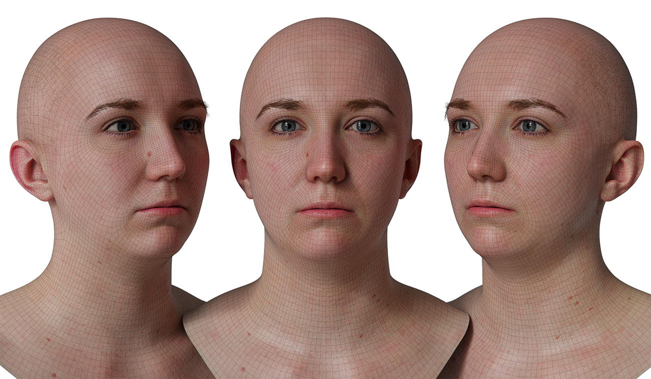 head model wireframe mesh